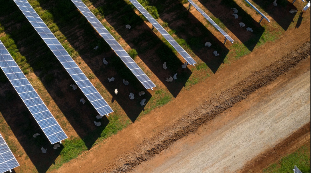 biggest solar farm in Australia